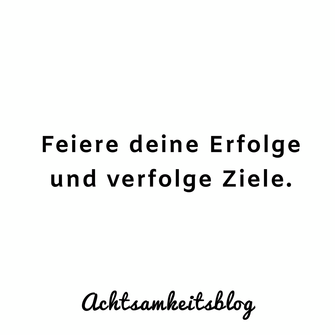 Ziele und Erfolge